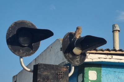 В центре Чадыр-Лунги сняли шлагбаум на ж/д переезде: жители возмущены, что говорят на ГП &quot;Железная дорога Молдовы&quot;