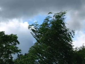 В связи со штормовым предупреждением в примэрии Чадыр-Лунги заработала горячая линия