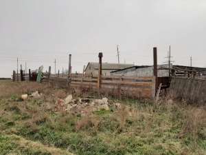 В Чадыр-Лунге зафиксирован случай незаконного выпаса скота