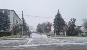 Анатолий Топал представил ключевые проекты развития города на 2026 год