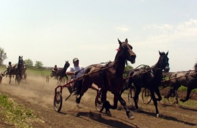 Проведение праздника Хедерлез под угрозой срыва – примария мун. Чадыр-Лунга созывает Совет
