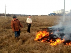 В Чадыр-Лунге участились случаи возгорания сухостоя