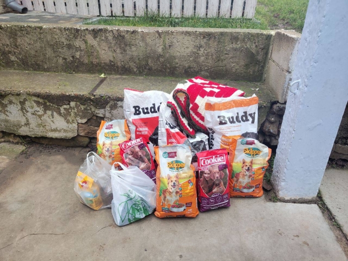 Чадыр-Лунга объединилась ради добра: собрана помощь для приюта бездомных животных