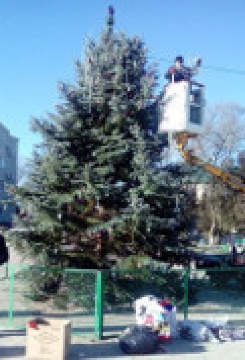 Украшена главная елка в Чадыр-Лунге