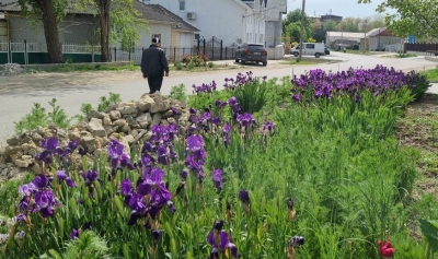 Внимание! Отделу Благоустройства и санитарной очистки мун. Чадыр-Лунга требуются грузчики