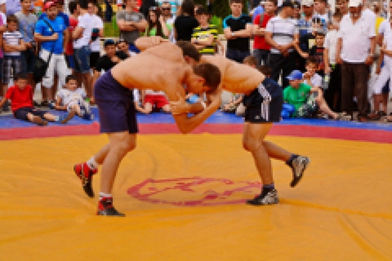 Турнир по вольной борьбе памяти Савелия Киорогло