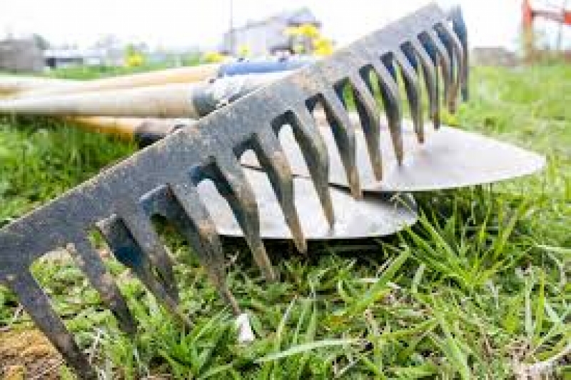 Власти Чадыр-Лунги призывают горожан выйти на предпасхальный субботник