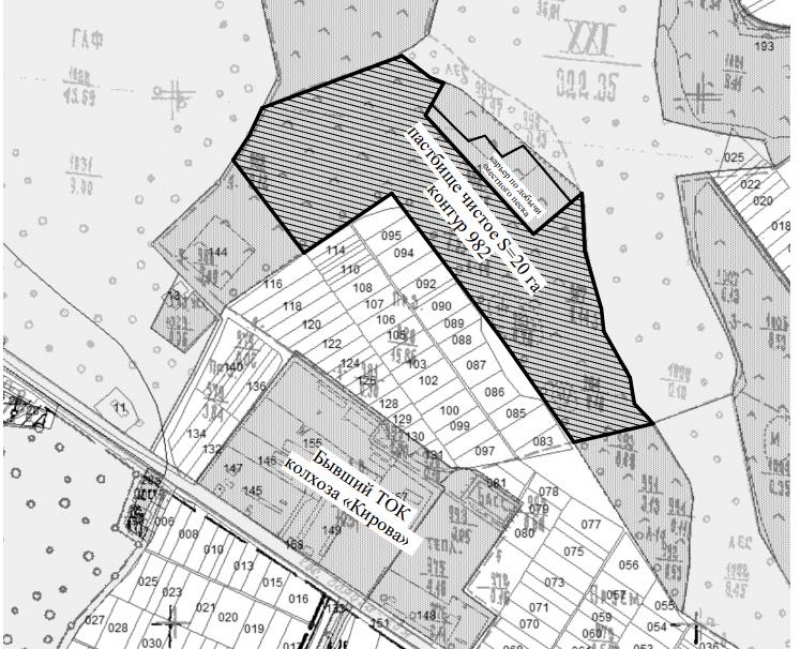 В Чадыр-Лунге состоятся публичные слушания по вопросу сдачи в аренду пастбища