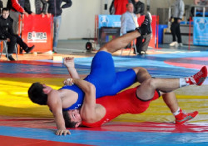 Масштабный турнир по вольной борьбе пройдет в Чадыр-Лунге