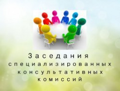Прошли заседания специализированных консультативных комиссий
