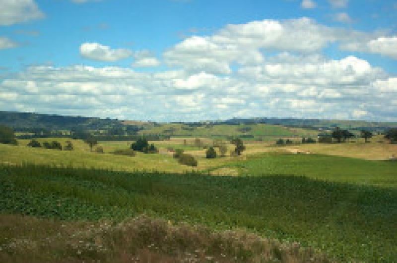 Добрый пример жителей улицы Ворошилова