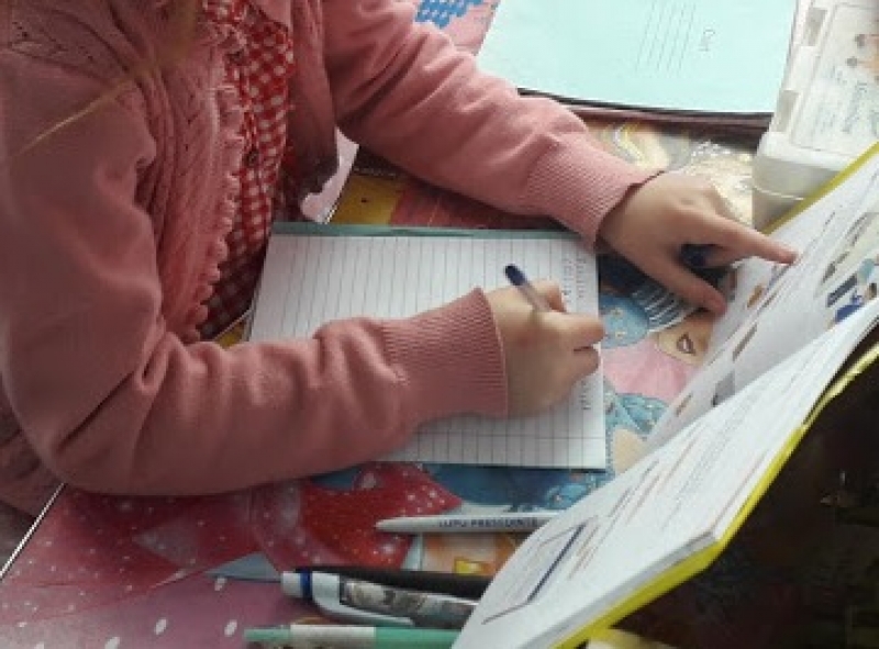 В Молдове видеолекции для школьников будут транслировать по 24 каналам