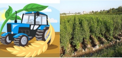 Профессиональная школа объявляет набор на краткосрочные курсы