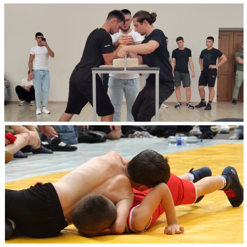 Соревнования по вольной борьбе и армрестлингу - 9 ноября