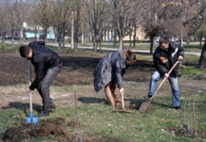 Нарушители Правил благоустройства и санитарного содержания территории города Чадыр – Лунга будут привлечены к ответственнности