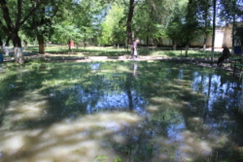 Власти Гагаузии обратятся к внешним партнерам за помощью для пострадавших жителей Чадыр-Лунги