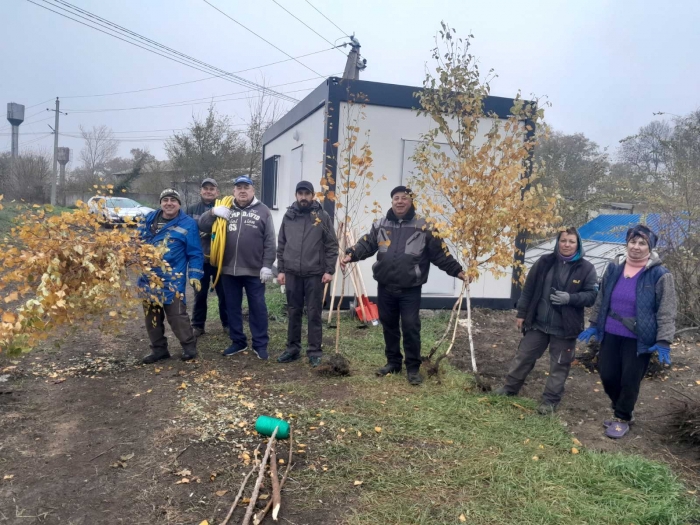 Питомник растений Чадыр-Лунги в процессе создания