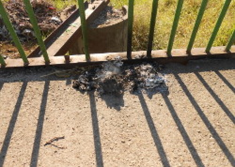 В парке неизвестные сжигают бытовой мусор