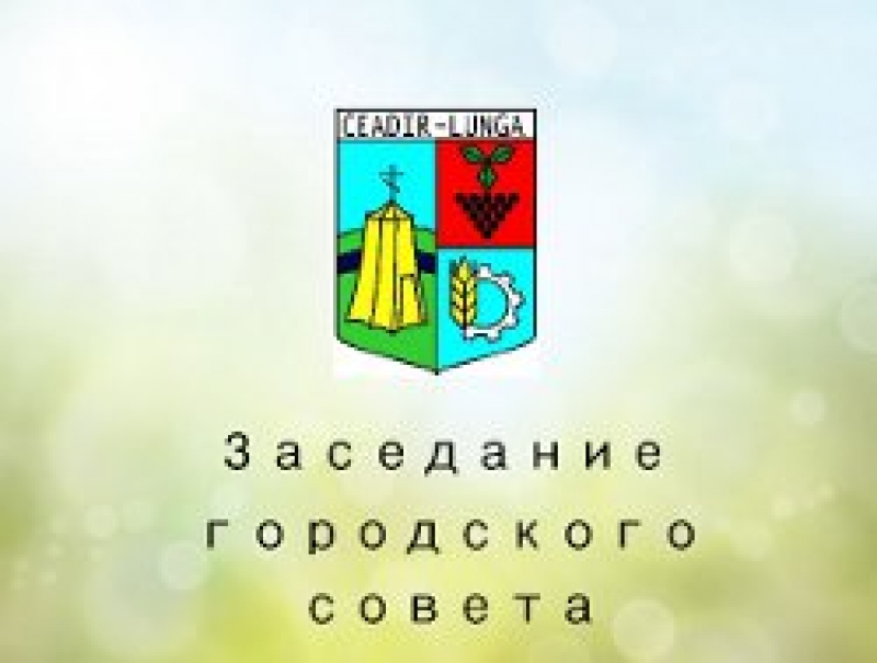 Проведено заседание Городского Совета