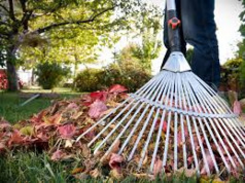 6 апреля состоится общегородской субботник