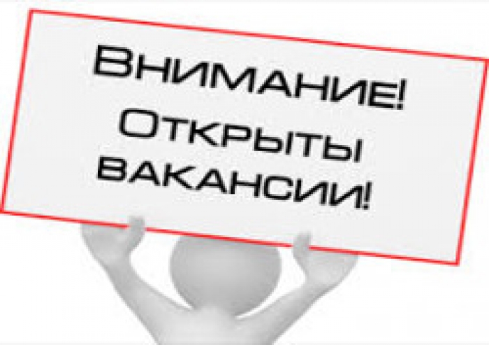 Вакансии в примарии