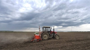 Минсельхоз Молдовы поможет фермерам, пострадавшим от последствий кризиса 2022 года