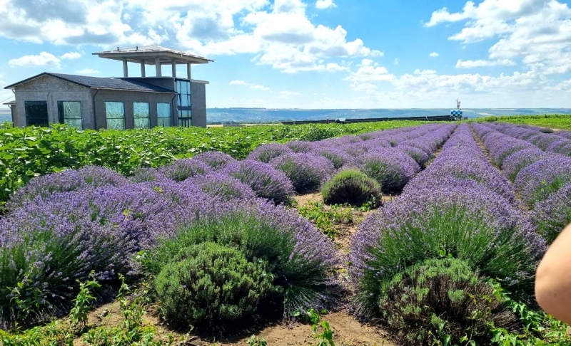 ANTRIM объявляет конкурс грантов для туристических предприятий