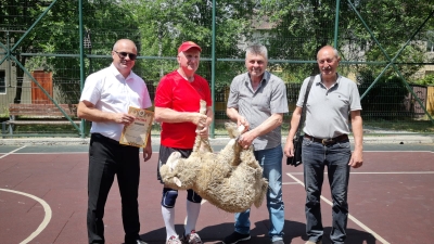 Результаты турниров по баскетболу и волейболу в День города