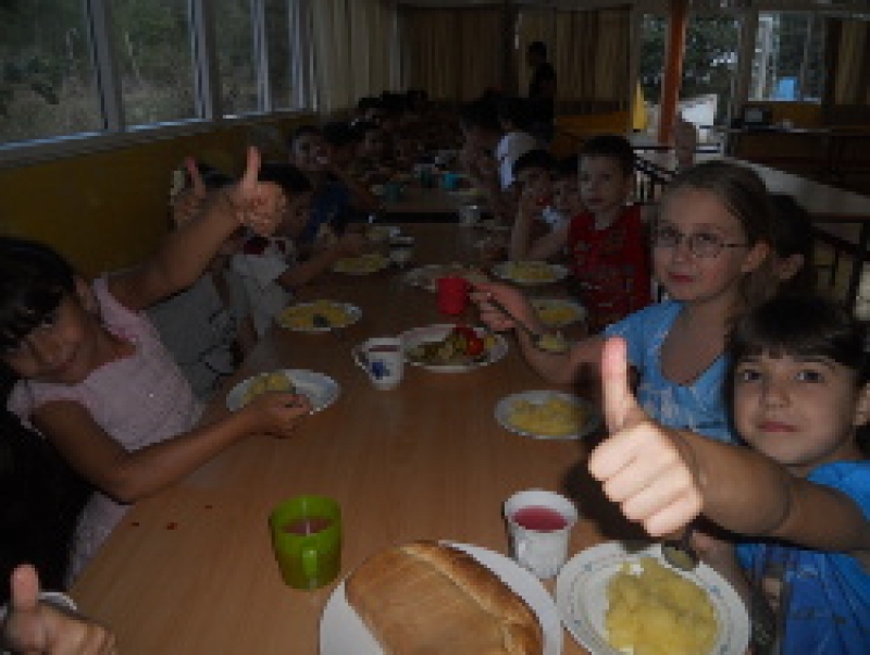 Л.Захария: Начальник Управления Образования Гагаузии не владеет информацией по подготовке Чадыр-Лунгского лагеря к сезону отдыха