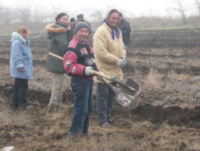 В Национальный день озеленения в городе высажена молодая дубовая роща
