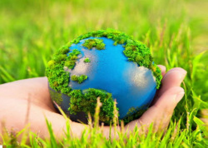 Чадыр-Лунгу посетит замминистра окружающей среды РМ