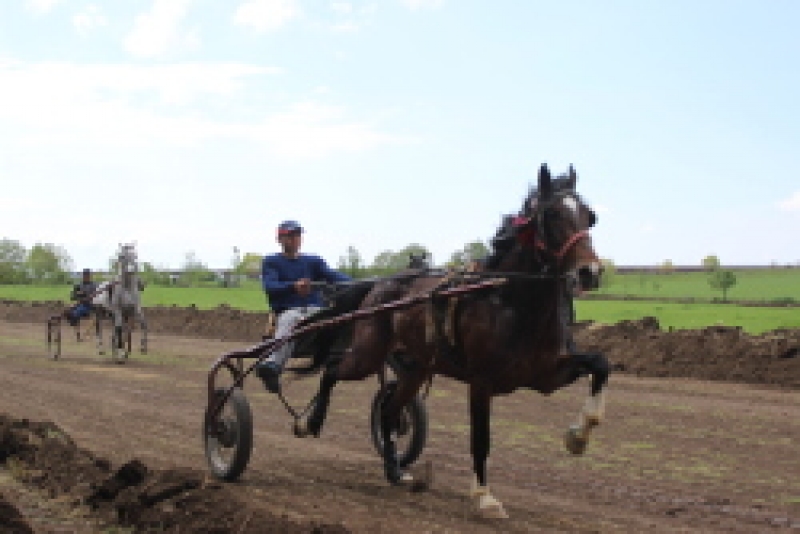 В Чадыр-Лунге отпраздновали национальный праздник Хедерлез