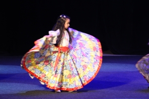 В Чадыр-Лунге отметили День ромов праздничным концертом