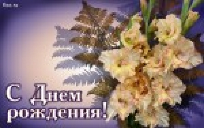 С Днем Рождения