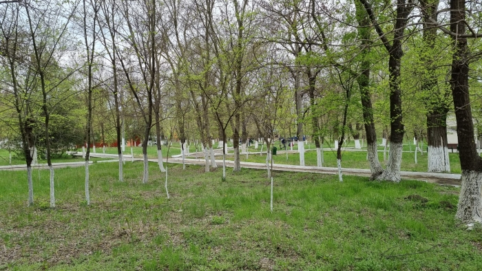 Советом принято решение о выделении контрибуции для участия в двух крупных проектах