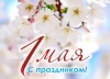 Примэрия и Муниципальный Совет поздравляют жителей и гостей Чадыр-Лунги с праздником весны и труда!