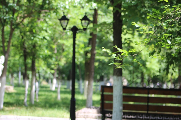 «Premier Energy Distribution» информирует население Чадыр-Лунги об отключении электроэнергии