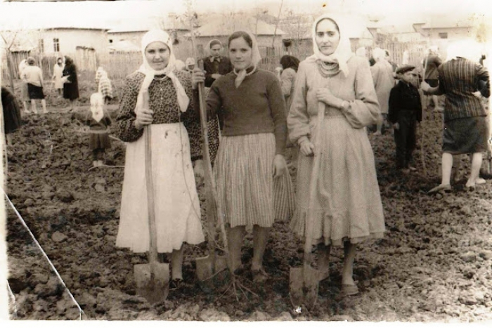 Парк Молодёжи: как рождался, рос и дожил до 65-летнего юбилея