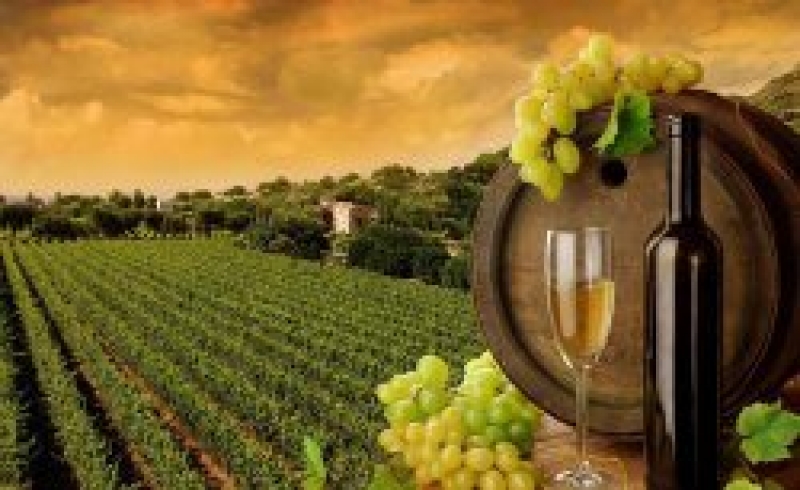 3 ноября в г.Комрат состоится &quot;Фестиваль вина&quot;