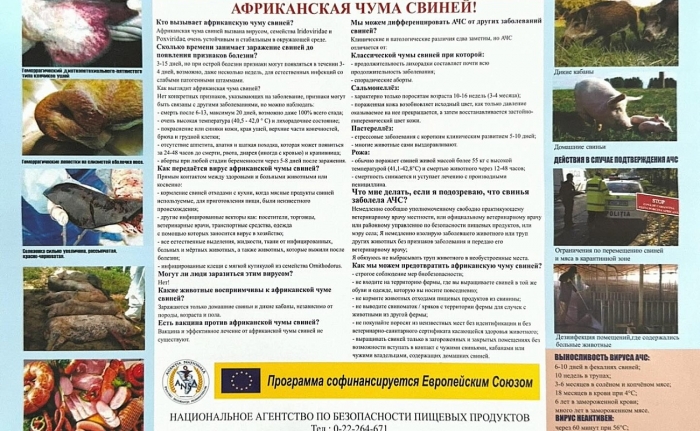 Памятка населению: Африканская чума свиней