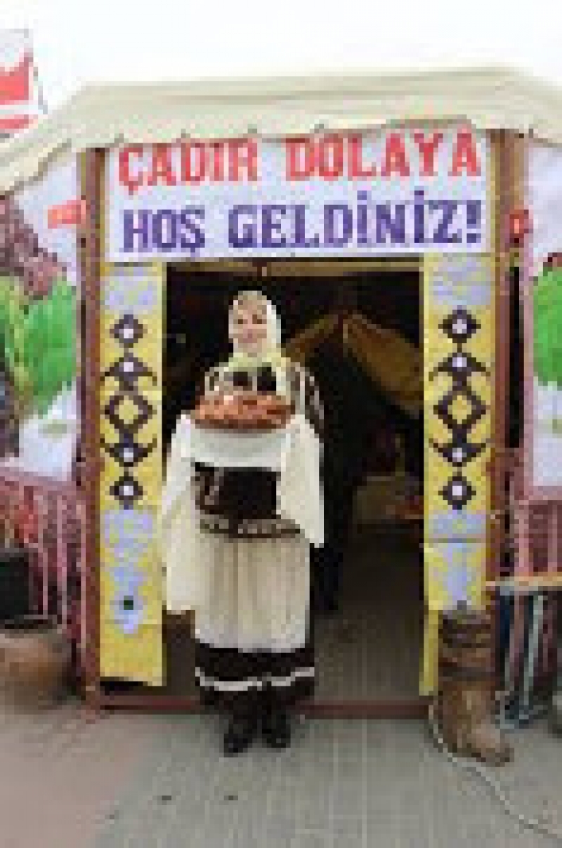 Чадыр-Лунга представит свое подворье на Фестивале вина в Комрате