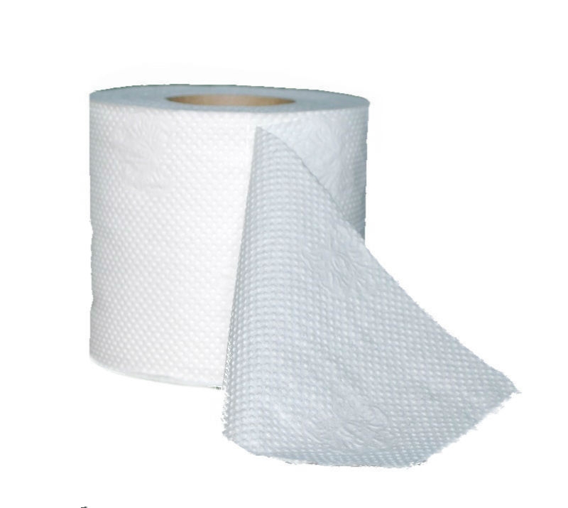 В парке Победы заработает платный туалет