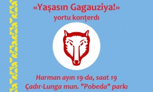 Примэрия Чадыр-Лунги приглашает на празднование Дня провозглашения Гагаузской Республики