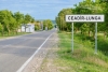 15 км новых сетей освещения проведут в Чадыр-Лунге