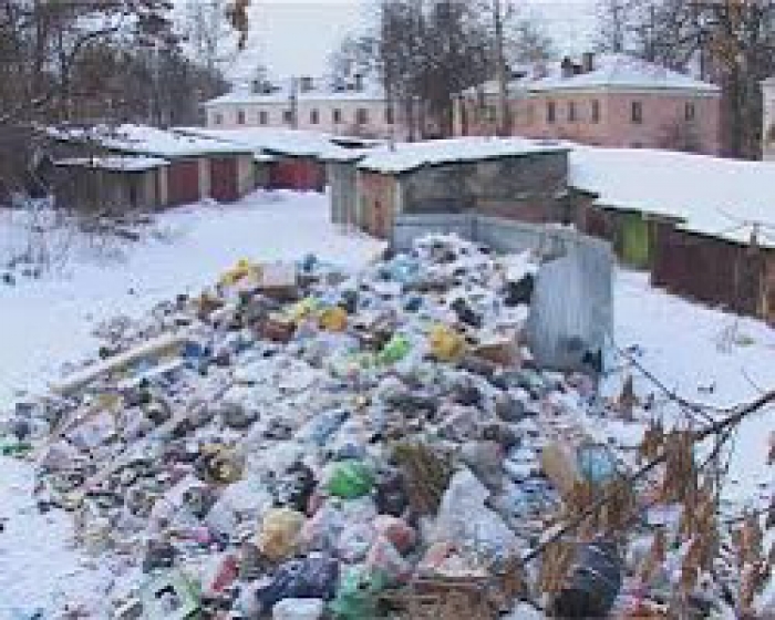 Мусор не вывозится: кто виноват и что делать?