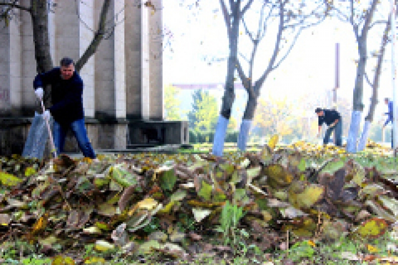 В Чадыр-Лунге прошел субботник