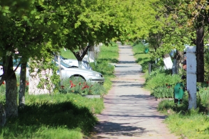 В Молдове объявлено предупреждение о заморозках до -3&deg;C