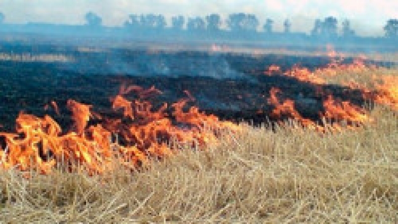 В Гагаузии участились случаи возгорания стерни, оставшейся на корню после уборки урожая