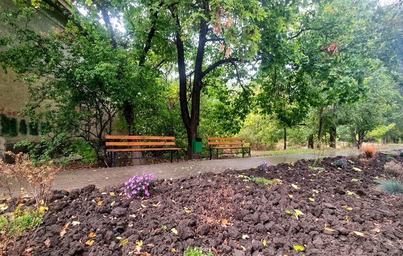 В Молдове объявлен желтый код из-за заморозков