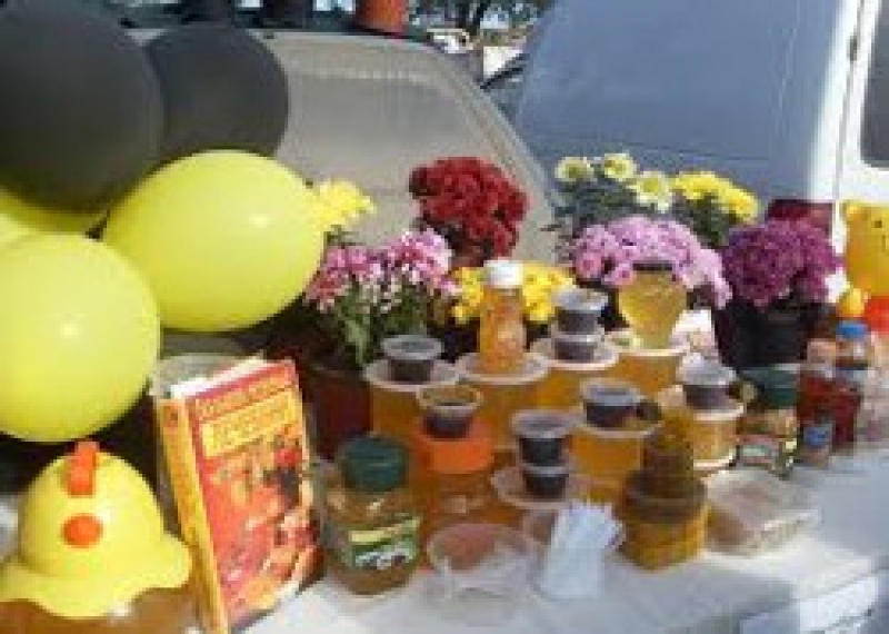 Известна программа празднования Касым в Чадыр-Лунге